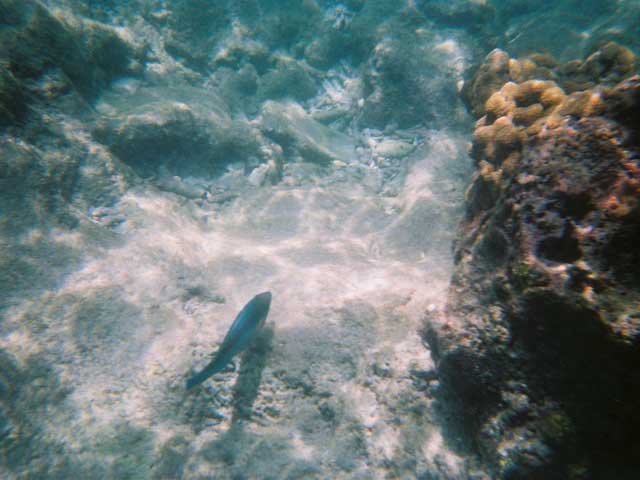 photo12.jpg